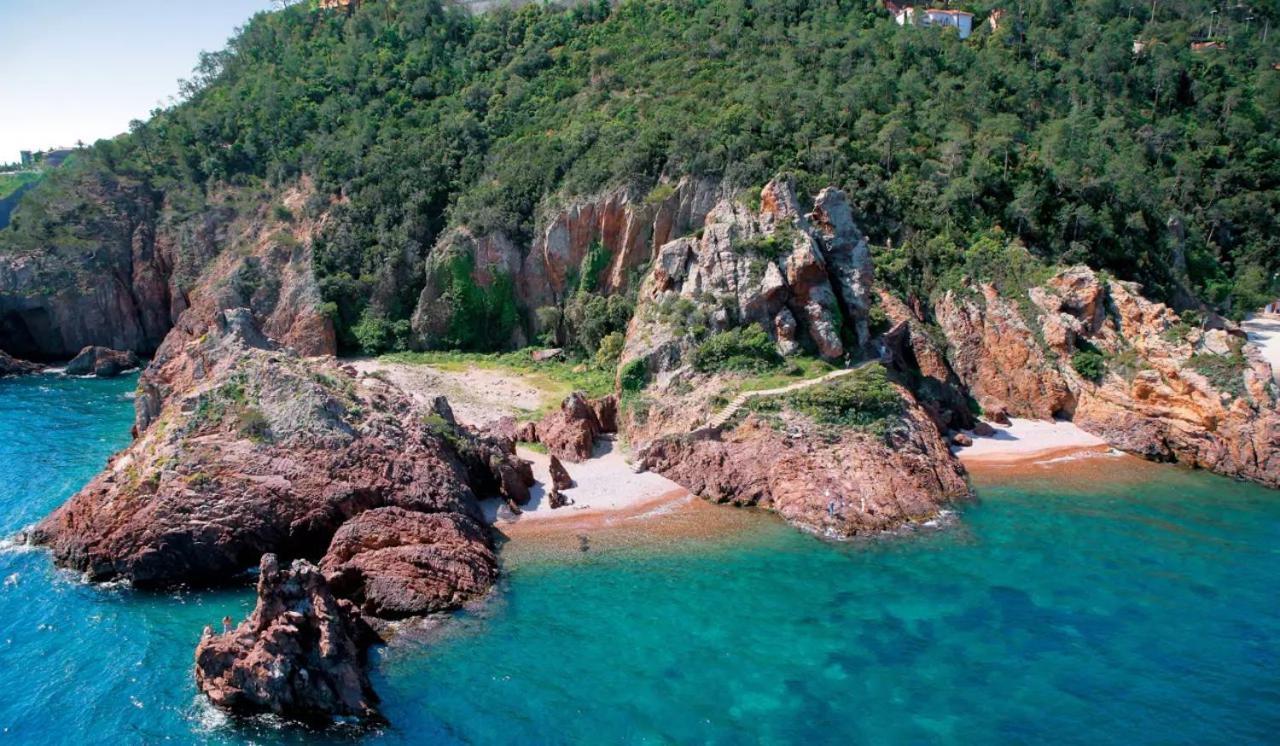 Rez De Jardin Au Calme Et Proche Mer Mandelieu Esterno foto